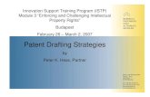 Patent Drafting Strategies - .Patent Drafting Strategies by Peter K. Hess, Partner. ... Examples