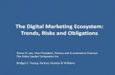 The Digital Marketing Ecosystem: Trends, Risks and Obligations .The Digital Marketing Ecosystem: