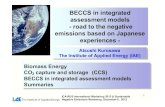 BECCS in integrated assessment models road to the .BECCS in integrated assessment models - road to