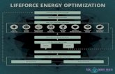 LIFEFORCE ENERGY OPTIMIZATION - Amazon S3 the Reiki Symbols ... Connect with Reiki Energy LIFEFORCE