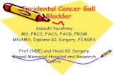 Incidental Cancer Gall Bladder - Sessions/Dr.Subodh...Incidental Cancer Gall Bladder Subodh Varshney