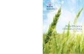 High-Eff iciency Fertilisers in   iciency Fertilisers in China