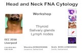 Head and Neck FNA Cytology - .Head and Neck FNA Cytology Workshop Thyroid Salivary glands Lymph nodes