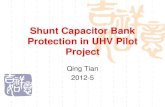 Shunt Capacitor Bank Protection in UHV Pilot .Shunt Capacitor Bank Protection in UHV Pilot ... CONFIGURATION
