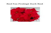 Red Fox Prot¨g¨ Dark .2018-01-10  Red Fox Prot¨g¨ Dark Red. 2009 Vaso 17 serra (T media)