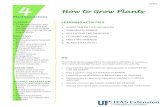 How to Grow Plants - University of .How to Grow Plants PURPOSE: To ... list of things people need