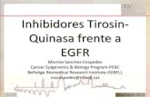 Inhibidores Tirosin- Quinasa frente a EGFR .Inhibidores Tirosin-Quinasa frente a EGFR Montse Sanchez-Cespedes