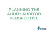 PLANNING THE AUDIT: AUDITOR PERSPECTIVE - .PLANNING THE AUDIT - AUDITOR. Audit ... â€¢Document review