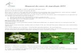 Rapport du cours de mycologie 2017 - smmn.ch .Rapport du cours de mycologie 2017 Le cours de mycologie