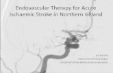 Endovascular Therapy for Acute Ischaemic Stroke in ... Endovascular Therapy for Acute Ischaemic