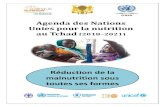 Agenda des Nations Unies pour la nutrition au Tchad .strat©gique   long terme, la Vision 2030 qui