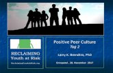 Herausforderndes Verhalten - Reclaiming Youth at Risk .2017-11-29  Missbrauch von Gleichaltrigen