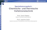 e Chemische und thermische Spezialisierungsfach ... Verfahrenstechnik Prof. Ulrich Nieken Institut