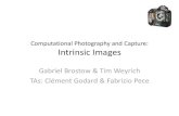Computational Photography and Video: Intrinsic Images - .Computational Photography and Capture: Intrinsic