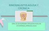SINUSITIS AGUDA Y CRONICA - .Macrolidos: azitromicina 500 mgD, ... â€¢Betalactamico antipseuudomonas+ciprofloxacino