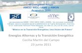 Energías Alternas y la Transición Energética - .PROSPECTIVA DE LA AGENCIA INTERNACIONAL DE ENERGIA.