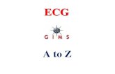 ECG - .The standard ECG has 12 leads: 3 Standard Limb Leads ... 6 Precordial Leads The axis of a