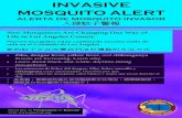 INVASIVE MOSQUITO ALERT - Get the latest news from the ... INVASIVE MOSQUITO ALERT New Mosquitoes