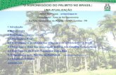 O AGRONEG“CIO DO PALMITO NO BRASIL - CEPLAC - 12).pdf  â€¢ Mercado do palmito est ³timo e o consumo