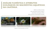 REGISTROS PIONEIROS DE MACR“FITAS AQUTICAS NA crad/arquivos/congressos/banner/Araujo_macro... 