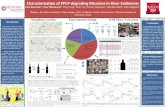 Characterization of PPCP-degrading Microbes in River .Characterization of PPCP-degrading Microbes