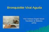 Bronquiolite Viral Aguda - WordPress .PPT file  Web view2009-07-10  Bronquiolite Viral Aguda