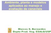 Ambiente, planta e modelos aplicados ao manejo e avalia§£o ... Marcos Bernardes...  â€¢MODELOS