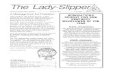 The Lady-Slipper - 2005.pdf  The Lady-Slipper Kentucky Native Plant Society Number 20:3 Fall 2005