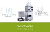 CROMATOGRAFIA - Universit  di .tipi di cromatografia ripartizione adsorbimento scambio ionico esclusione