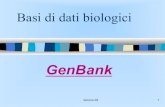 GenBank - users.dimi.uniud. LOCUS AC105318 110811 bp DNA linear HTG 30-DEC-2001 DEFINITION Oryza