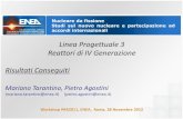 Linea Progettuale 3 Reattori di IV Generazione - ENEA â€” it .Linea Progettuale 3 Reattori di IV