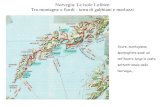 Norvegia: Le isole Lofoten Tra montagne e fiordi - terra di gabbiani - Isole    Devo dire
