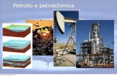 Petrolio e petrolchimica - La pi¹ accreditata ¨, per², la teoria dell'origine organica del petrolio,