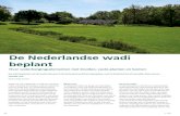 De Nederlandse wadi beplant - stad-en-groen.nl .Denk aan Duitsland, maar ook in de Verenigde Staten,