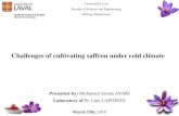 Challenges of cultivating saffron under cold climate saffron/Workshops/Saffron Workshop...¢  2019-03-21¢ 