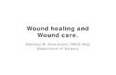 Wound healing and Wound care. - University of Medical ...oer. NOTES/1/2/OM-Oluwatosin---Wound-healing...Wound