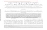 Role of tetanus neurotoxin insensitive vesicle-associated ...lydia. of tetanus neurotoxin insensitive