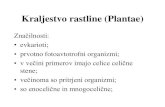 Kraljestvo rastline (Plantae) - Spletna stran  C  entjur .â€¢ klorofil a in b; â€¢ beta karoten;