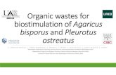 Organic wastes for biostimulationof Agaricus bisporus ...uest.ntua.gr/naxos2018/proceedings/presentation/09