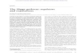 The Hippo pathway: regulators and .The Hippo pathway: regulators and regulations ... Ge-netic inactivation