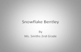 Smith Snowflake Bentley