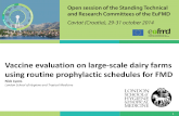Vaccine evaluation on large-scale dairy farms using routine prophylactic schedules for FMD