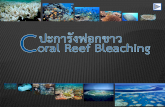 Coral reef-bleaching