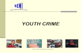 Youth Crime Reduction