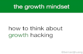 The Growth Hacking Mindset & Techniques to Grow Your Business