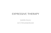 Expressive therapy