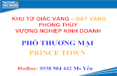 Thong tin prince town