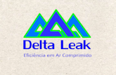 Delta Leak Company