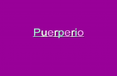 Puerperio Expo