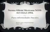 Norma oficial mexicana nom 013-ssa2-1994 (1)